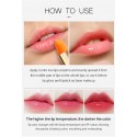 Ruj de buze cu extract de miere - Vibrant Glamour Honey Lipstick 3,5 gr 
