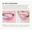 Spuma albire dinti (cu extracte plante + lactobacillus), Vibrant Glamour Whitening Teeth Mousse, 100 gr